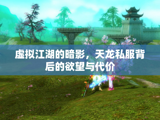 虚拟江湖的暗影，天龙私服背后的欲望与代价