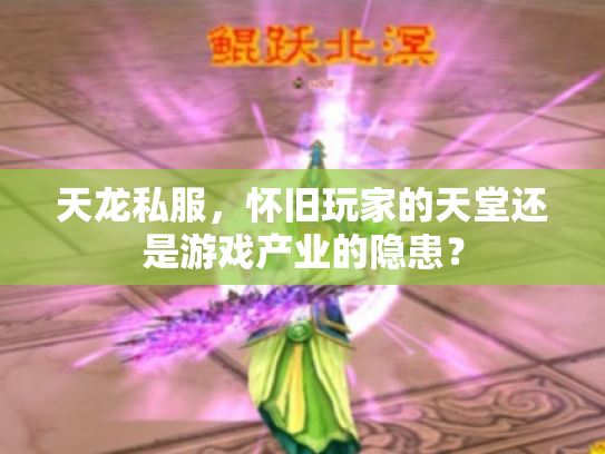 天龙私服，怀旧玩家的天堂还是游戏产业的隐患？