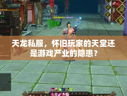 天龙私服，怀旧玩家的天堂还是游戏产业的隐患？