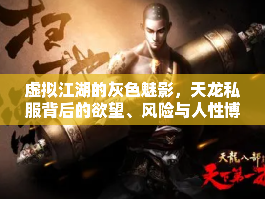 虚拟江湖的灰色魅影，天龙私服背后的欲望、风险与人性博弈