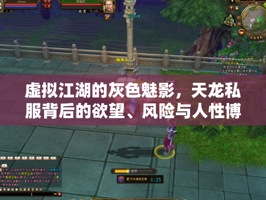 虚拟江湖的灰色魅影，天龙私服背后的欲望、风险与人性博弈
