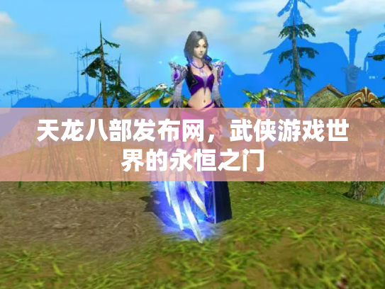 天龙八部发布网，武侠游戏世界的永恒之门