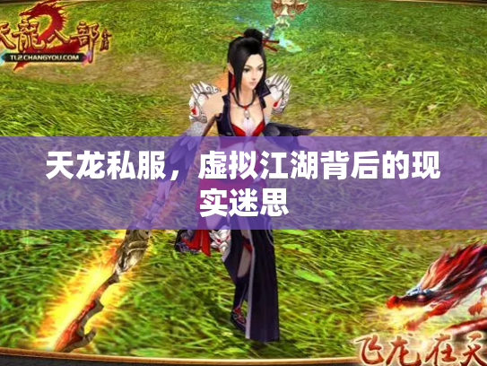天龙私服，虚拟江湖背后的现实迷思