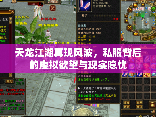 天龙江湖再现风波，私服背后的虚拟欲望与现实隐忧