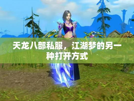 天龙八部私服，江湖梦的另一种打开方式