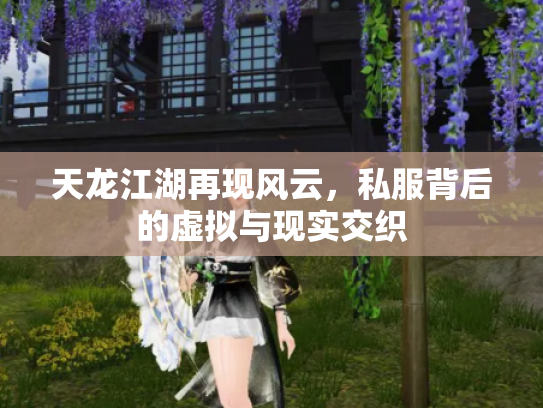 天龙江湖再现风云，私服背后的虚拟与现实交织