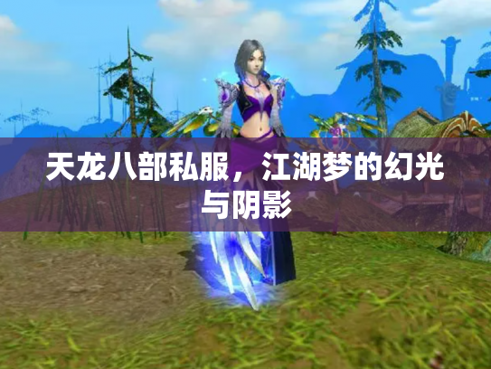 天龙八部私服，江湖梦的幻光与阴影