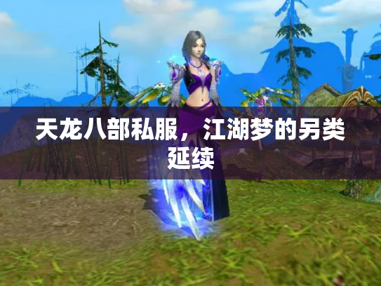 天龙八部私服，江湖梦的另类延续