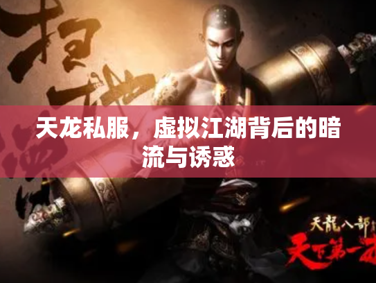天龙私服，虚拟江湖背后的暗流与诱惑