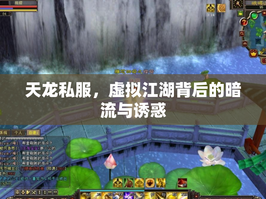 天龙私服，虚拟江湖背后的暗流与诱惑