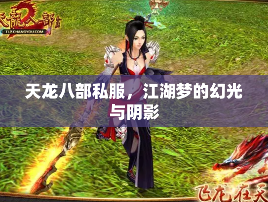 天龙八部私服，江湖梦的幻光与阴影