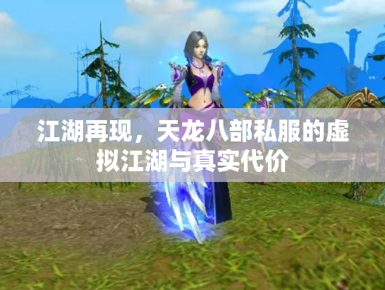 江湖再现，天龙八部私服的虚拟江湖与真实代价
