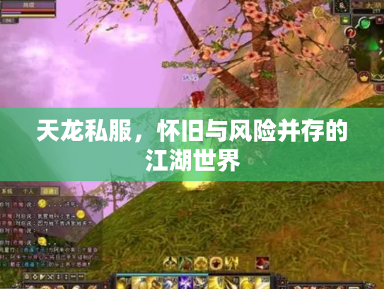 天龙私服，怀旧与风险并存的江湖世界