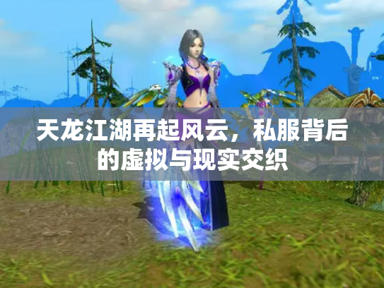 天龙江湖再起风云，私服背后的虚拟与现实交织