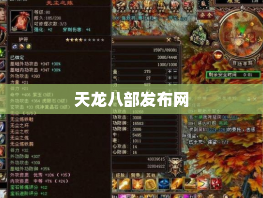 天龙八部发布网