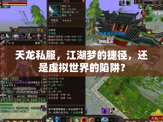 天龙私服，江湖梦的捷径，还是虚拟世界的陷阱？