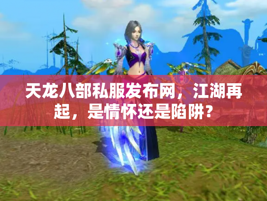 天龙八部私服发布网，江湖再起，是情怀还是陷阱？