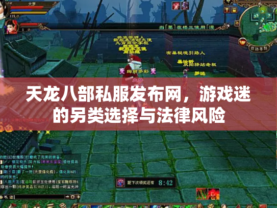天龙八部私服发布网，游戏迷的另类选择与法律风险