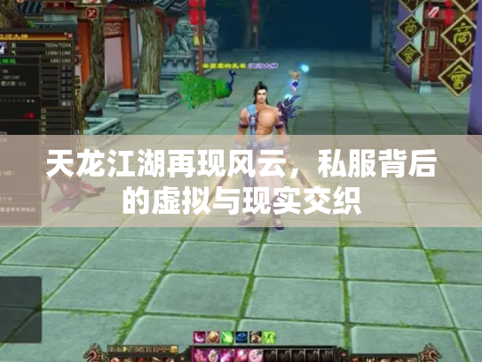 天龙江湖再现风云，私服背后的虚拟与现实交织