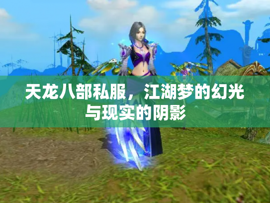 天龙八部私服，江湖梦的幻光与现实的阴影