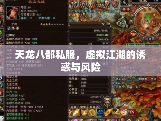 天龙八部私服，虚拟江湖的诱惑与风险