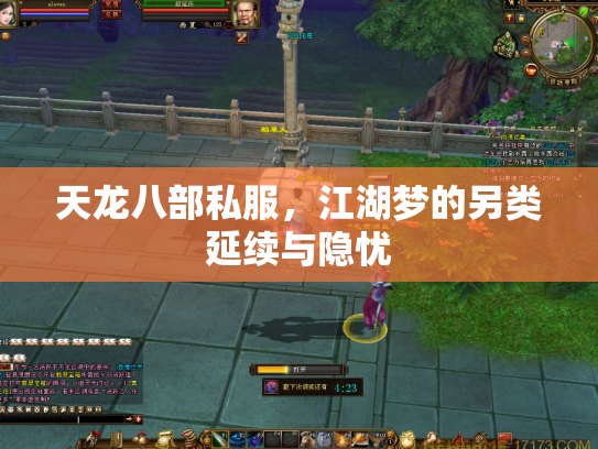 天龙八部私服，江湖梦的另类延续与隐忧