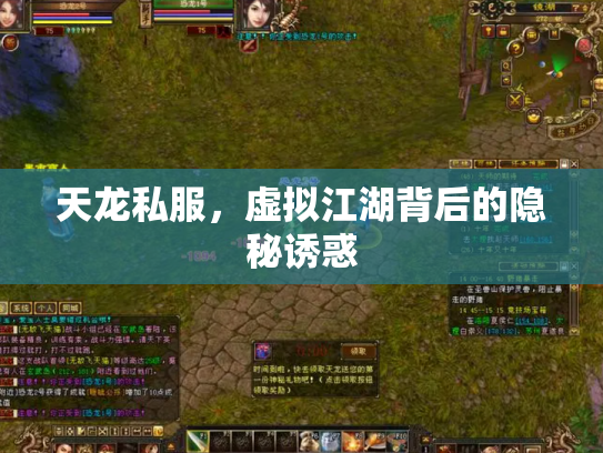 天龙私服，虚拟江湖背后的隐秘诱惑