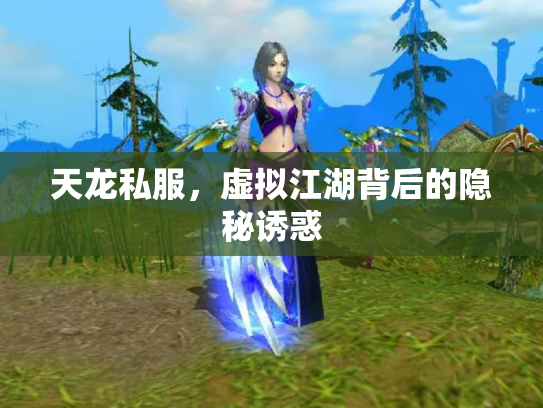 天龙私服，虚拟江湖背后的隐秘诱惑