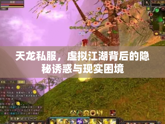天龙私服，虚拟江湖背后的隐秘诱惑与现实困境