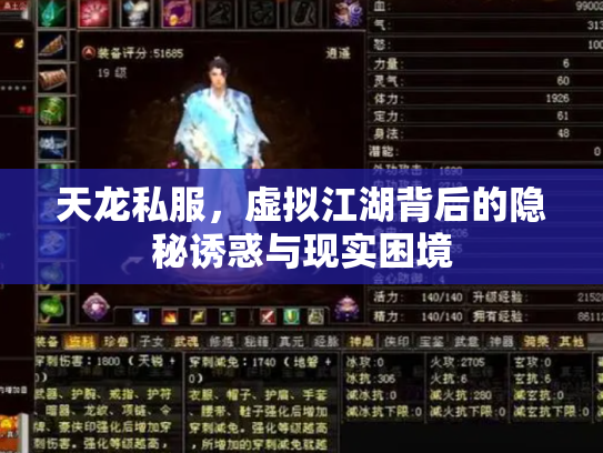 天龙私服，虚拟江湖背后的隐秘诱惑与现实困境