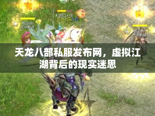 天龙八部私服发布网，虚拟江湖背后的现实迷思