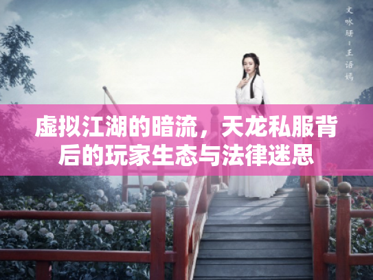 虚拟江湖的暗流，天龙私服背后的玩家生态与法律迷思