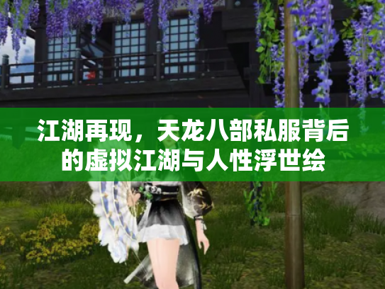 江湖再现，天龙八部私服背后的虚拟江湖与人性浮世绘
