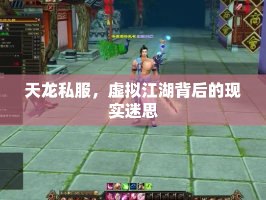 天龙私服，虚拟江湖背后的现实迷思