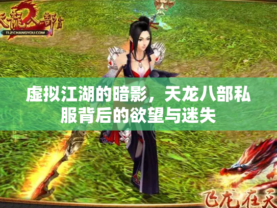 虚拟江湖的暗影，天龙八部私服背后的欲望与迷失