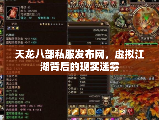 天龙八部私服发布网，虚拟江湖背后的现实迷雾