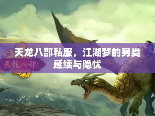 天龙八部私服，江湖梦的另类延续与隐忧