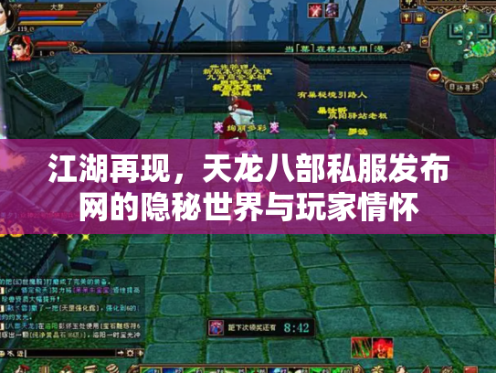 江湖再现，天龙八部私服发布网的隐秘世界与玩家情怀