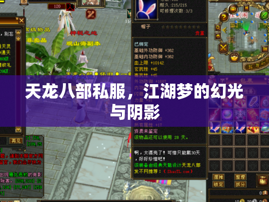 天龙八部私服，江湖梦的幻光与阴影