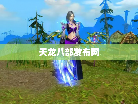 天龙八部发布网