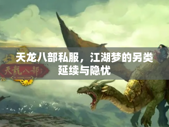天龙八部私服，江湖梦的另类延续与隐忧