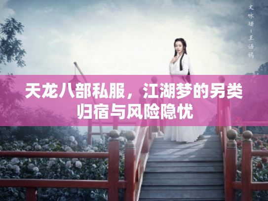 天龙八部私服，江湖梦的另类归宿与风险隐忧