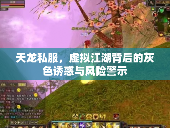 天龙私服，虚拟江湖背后的灰色诱惑与风险警示