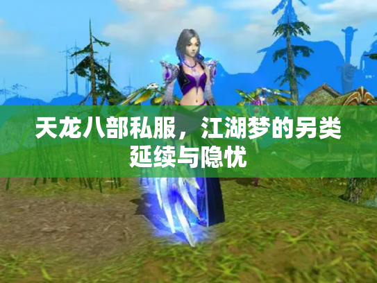 天龙八部私服，江湖梦的另类延续与隐忧