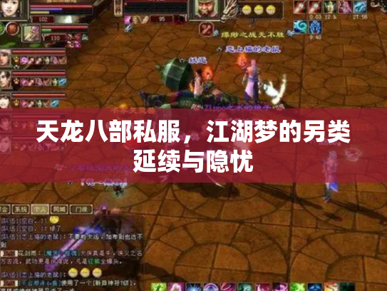 天龙八部私服，江湖梦的另类延续与隐忧