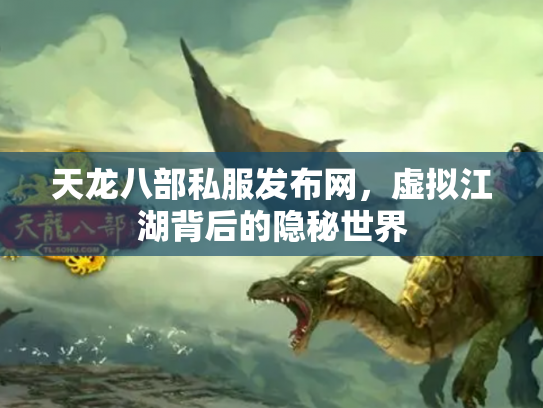 天龙八部私服发布网，虚拟江湖背后的隐秘世界