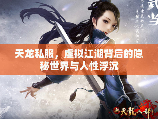 天龙私服，虚拟江湖背后的隐秘世界与人性浮沉