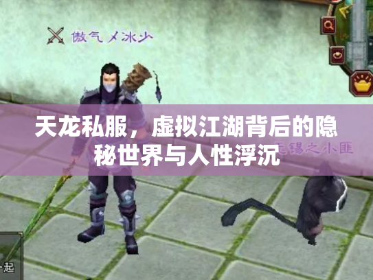 天龙私服，虚拟江湖背后的隐秘世界与人性浮沉