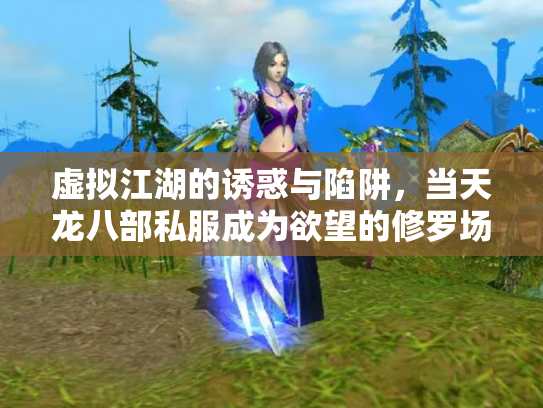 虚拟江湖的诱惑与陷阱，当天龙八部私服成为欲望的修罗场
