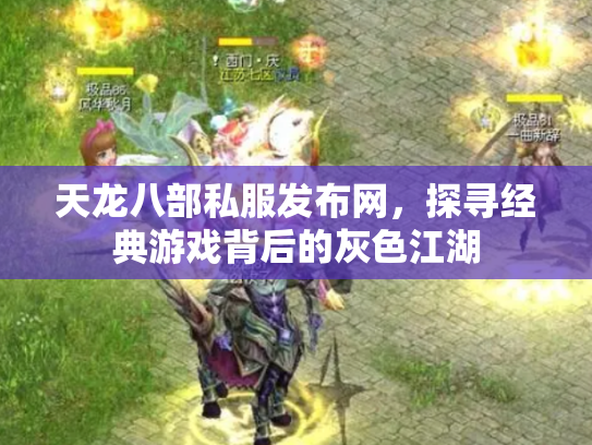 天龙八部私服发布网，探寻经典游戏背后的灰色江湖